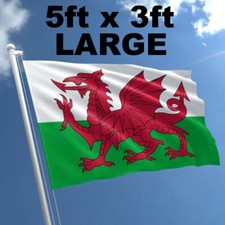 5ft x 3ft Large Welsh Flag