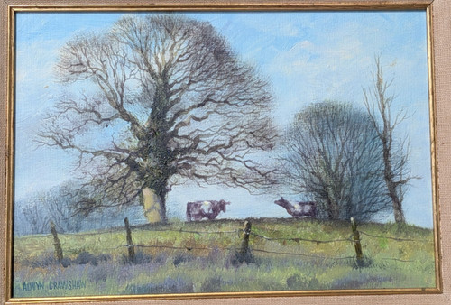 Original alwyn crawshaw - alwyn,