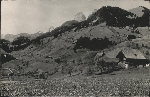 Oberwil simmental panorama - oberwil,