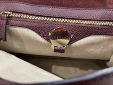 Genuine Mulberry Primrose