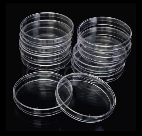 10x plastic petri dishes - plastic,