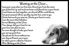 Beagle Pet Dog Memorial Sympathy fridge magnet magnetic card