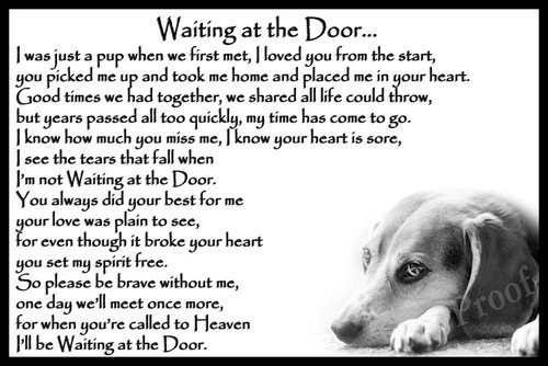 Beagle pet dog memorial - dog,