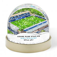 Wycombe Wanderers Around The Grounds Adams Park Water Colour Snow Globe Xmas