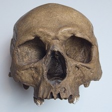 REPLICA realistic hand painted