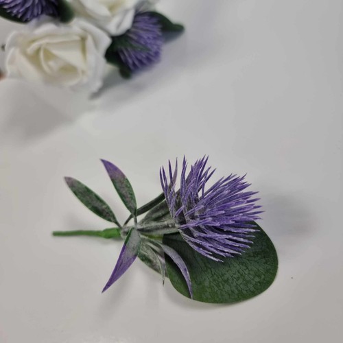 Scottish thistle for - thistle,