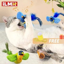 Vivid Chirping Flying Bird Cat
