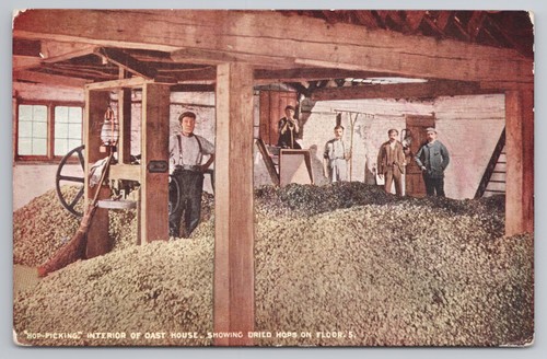 Hop picking interior oast - hop-picking,