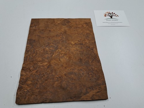 Brown oak burr - burr, veneer