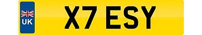 Tessy private reg number plate - tessy,