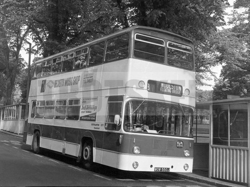 Large negative southampton - large,