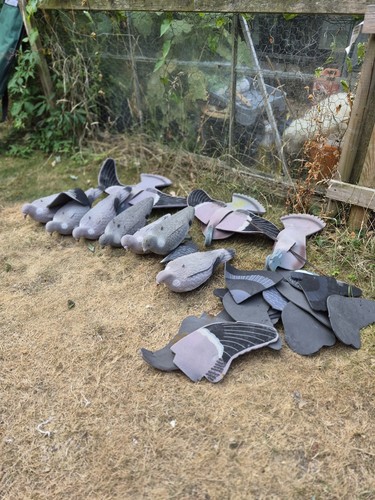 Pigeon decoys camo netting - decoys,
