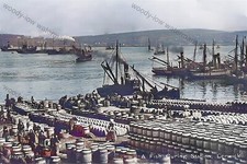 COL0934 - Fish Curing Station