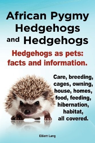African pygmy hedgehogs and - african,