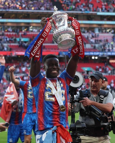 Crystal palace fa cup - crystal,