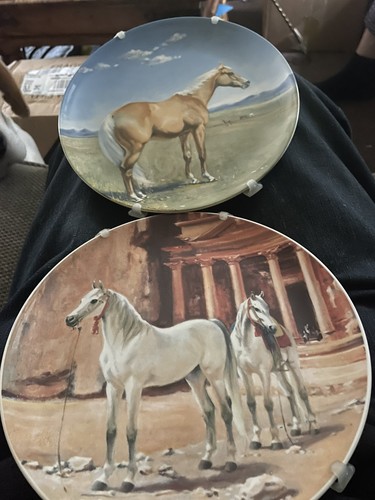Spode collection plates - 2, x