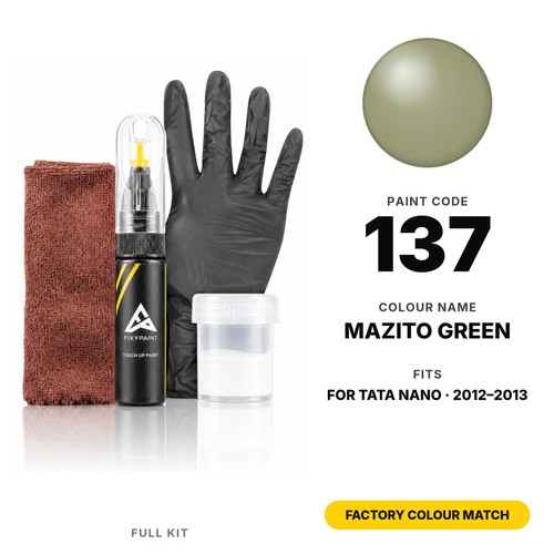 Touch paint for tata nano - for,