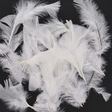 Bag of 20g White Feathers by