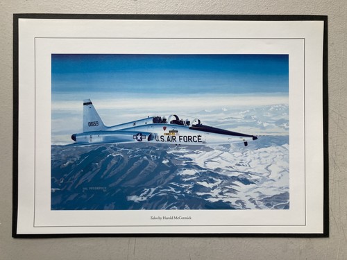 Military aviation print usaf - military,