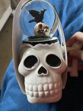 Tk maxx skull mug and snow