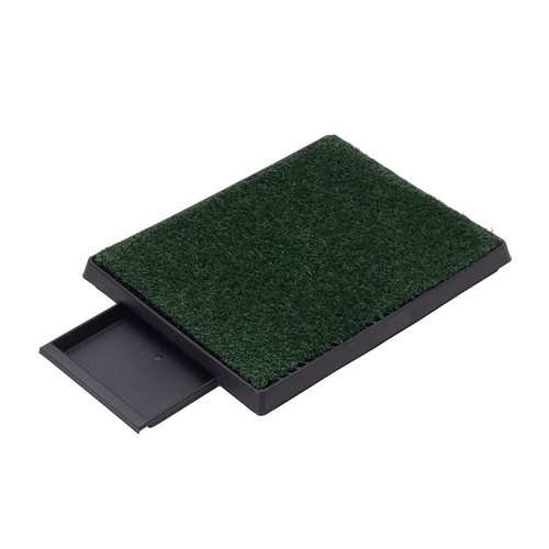 Pet dog toilet - pet, mat
