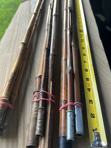 Cane pole bamboo - cane, pole/bamboo