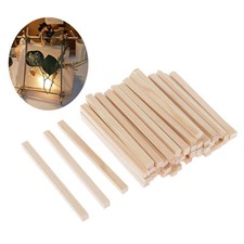 100 Pack Unfinished Wooden