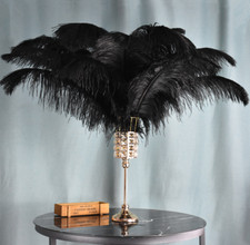 10x Dyed Big Black Ostrich