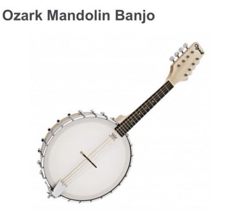 Ozark banjolin cased - banjolin,