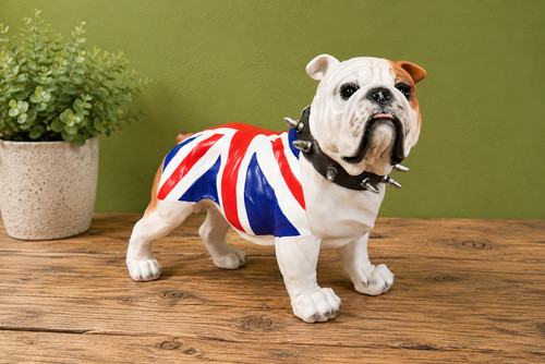 Standing british bulldog - standing,