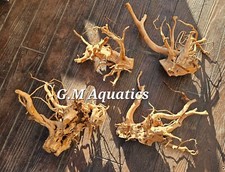 Red moor / Azalea wood -