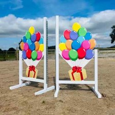 Aluminium Balloon Wings