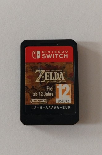 Nintendo switch the - switch, of