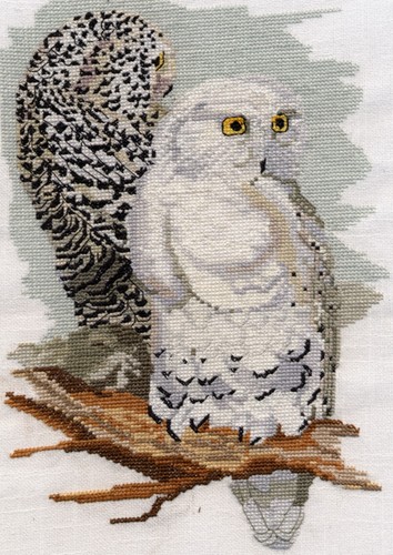Snowy owl counted cross - snowy, stitch