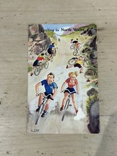 Valentine's Comic Postcard Ladies Gents Bicycle CYCLING IN NORTH WALES Vintage
