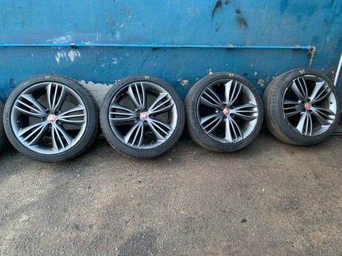 Jaguar matavia staggered - ,