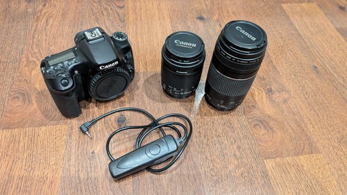 Canon 70d with 55mm - with, and