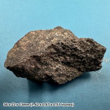 Triceratops dinosaur fossil - triceratops,