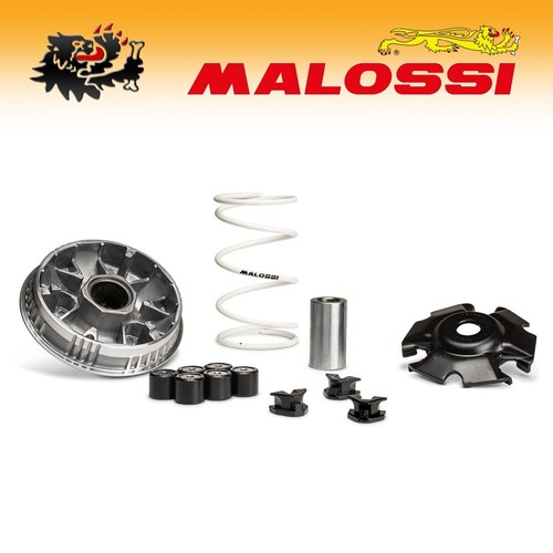 5119860 malossi 2000 - 5119860,