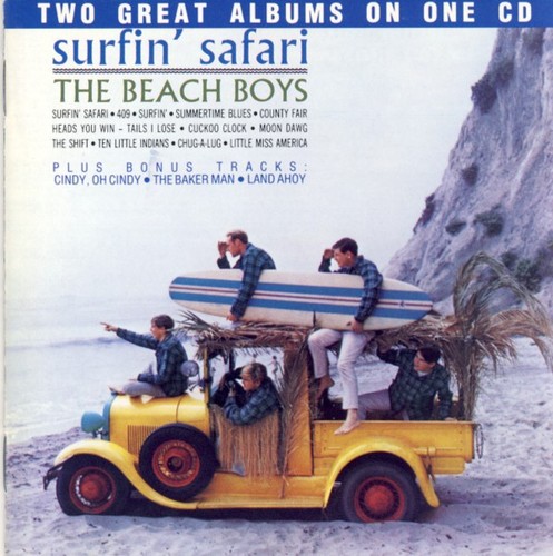 The beach boys surfin - -, surfin'