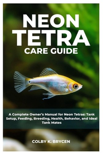 Neon tetra care - care, a
