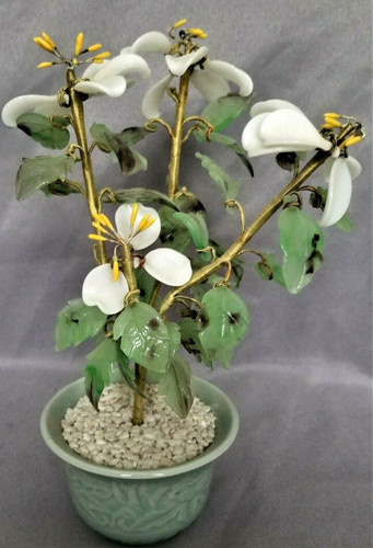 Chinese dogwood tree hardstone - tree,