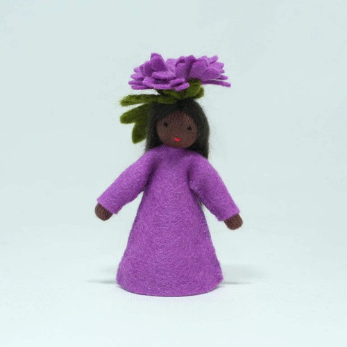 Ambrosius purple chrysanthemum - ambrosius,