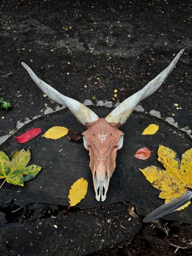 Handcrafted raczka sheep skull - handcrafted,