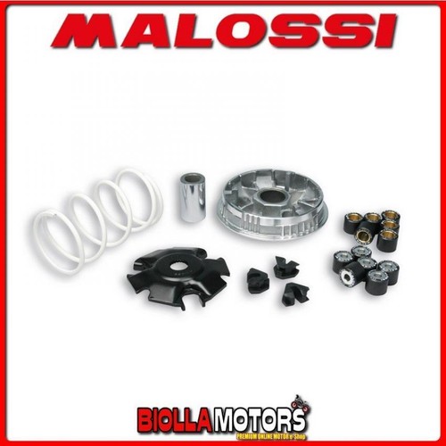 5111397 variator malossi - 5111397,