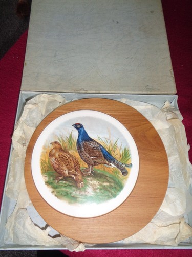 Vintage cambridge ware cheese - vintage,