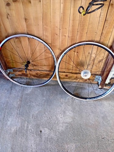 Campagnolo khamsin 700c - khamsin,