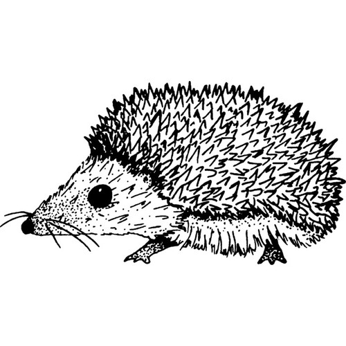 Hedgehog unmounted rubber - 'hedgehog',