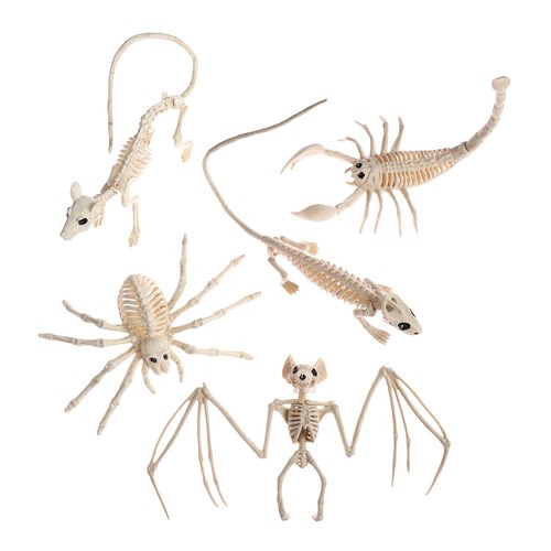 Halloween animal skeleton - halloween,