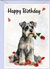 Miniature Schnauzer Dog